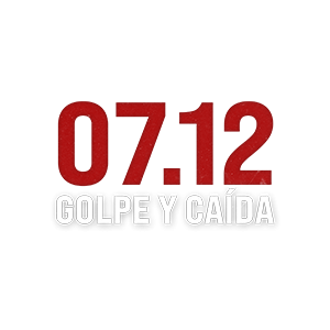 Golpe y caída