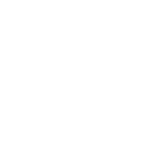 Liga Peruana de Vóley