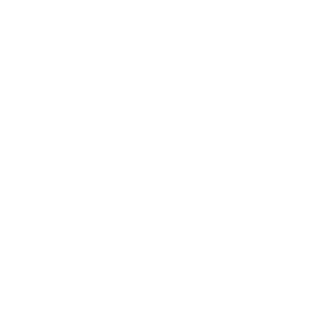 Guia electoral
