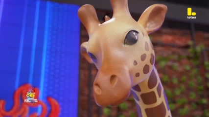 ¡De la selva, su encanto!