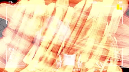 Eddie Vedder de Yo soy: "Llegué a tener 10 mil peces"