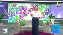 Sábado 11 de abril