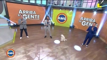 Miércoles 29 de abril